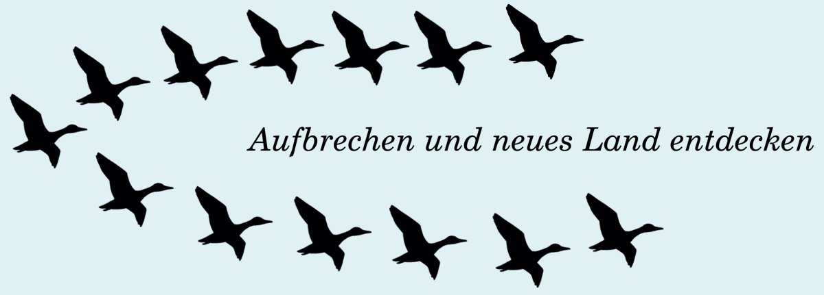 Firmenname